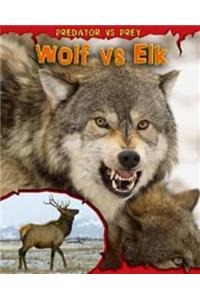 Wolf vs Elk