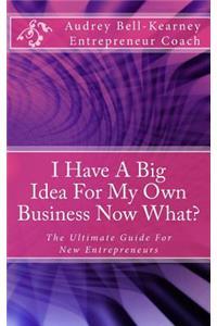 I Have a Big Idea for My Own Business Now What?: The Ultimate Guide for New Entrepreneurs