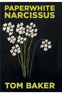 Paperwhite Narcissus