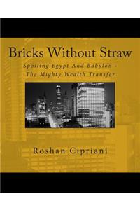 Bricks Without Straw