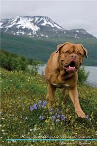 French Mastiff (Dogue de Bordeaux) Affirmations Workbook French Mastiff (Dogue de Bordeaux) Presents