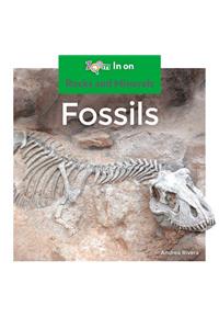 Fossils