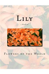 Lily Notebook