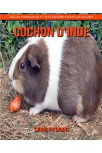 Cochon d'Inde