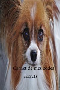 carnet de mes codes secrets