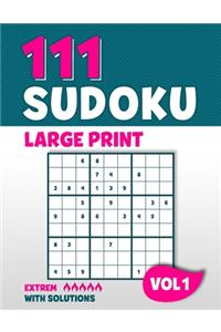 111 Sudoku Large Print