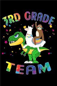 3rd Grade Team