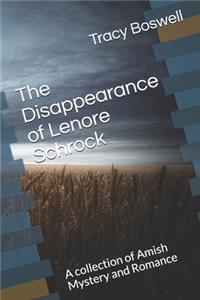 The Disappearance of Lenore Schrock