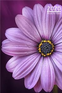 A5 2020 Diary Week To View Paperback Cover With Alternative Design -