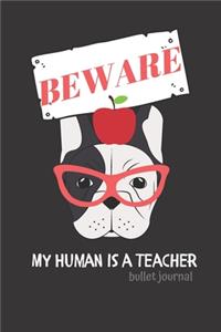 BEWARE My Human is a Teacher