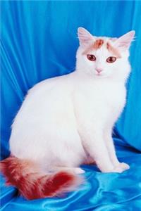 2020 Weekly Planner Pretty Kitty White Cat Photo 134 Pages