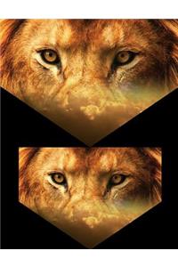 Lion Eyes