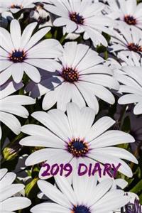 2019 Diary