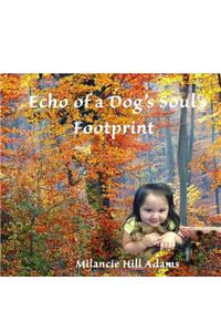 Echo of a Dog's Soul's Footprint