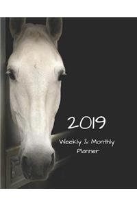 2019 Weekly and Monthly Planner