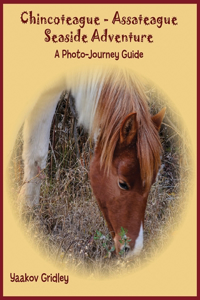 Chincoteague-Assateague Seaside Adventure