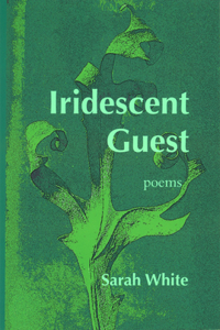 Iridescent Guest
