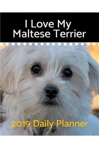 I Love My Maltese Terrier