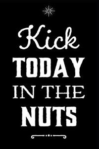 Kick Today in the Nuts