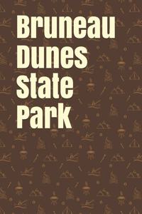 Bruneau Dunes State Park