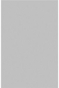 Silver Grey Notebook