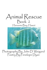 Animal Rescue, Book 2, Hanauma Bay, Hawaii