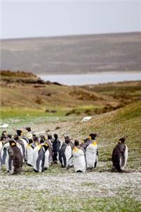 A Waddle of Penguins Journal