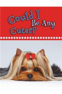 Could I Be Any Cuter?