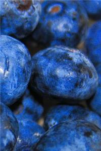 Blueberries Notebook