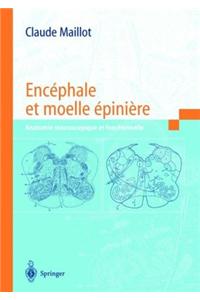 Encephale Et Moelle Epiniere