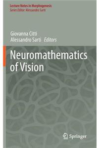 Neuromathematics of Vision