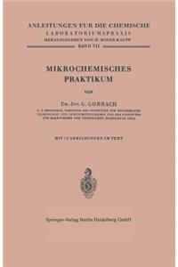 Mikrochemisches Praktikum