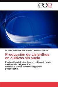 Producción de Lisianthus en cultivos sin suelo