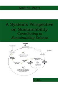 Systems Perspective on Sustainability