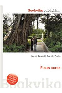 Ficus Aurea