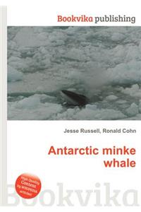 Antarctic Minke Whale