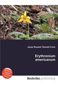 Erythronium Americanum