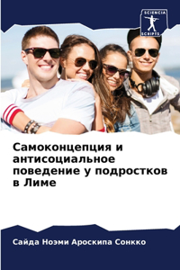 Самоконцепция и антисоциальное поведени&