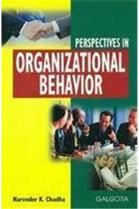 Perspectives In Organizational Behavior