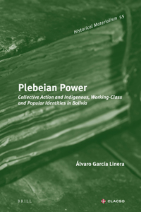 Plebeian Power