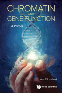 Chromatin and Gene Function