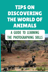 Tips On Discovering The World Of Animals