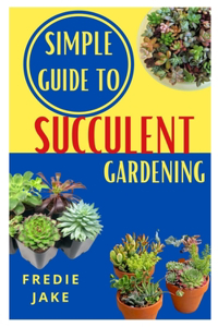 Simple Guide to Succulent Gardening