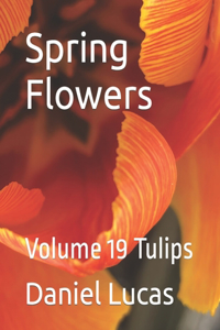 Spring Flowers