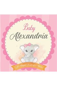 Baby Alexandria A Simple Book of Firsts