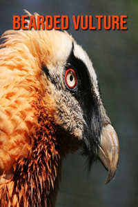 Bearded Vulture