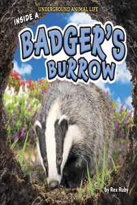 Inside a Badger's Burrow