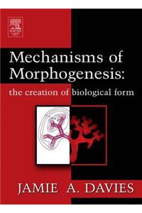 Mechanisms of Morphogenesis