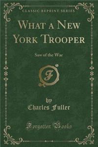What a New York Trooper: Saw of the War (Classic Reprint)