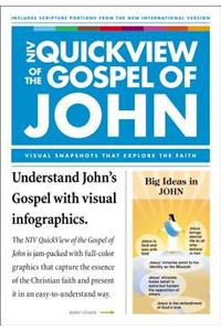 NIV, QuickView of the Gospel of John, Paperback